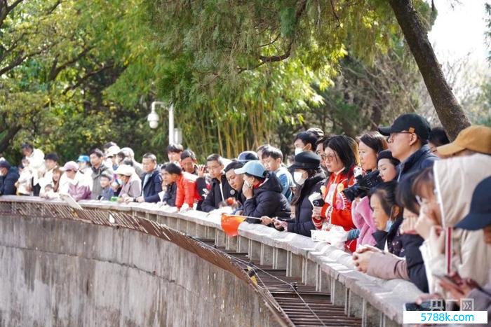 市民及旅客恭候猫出现（央广网记者 魏文青 摄）