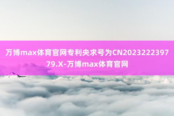 万博max体育官网专利央求号为CN202322239779.X-万博max体育官网