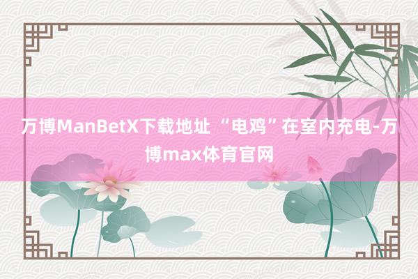 万博ManBetX下载地址 　　“电鸡”在室内充电-万博max体育官网