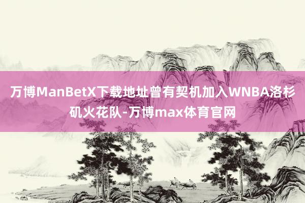 万博ManBetX下载地址曾有契机加入WNBA洛杉矶火花队-万博max体育官网