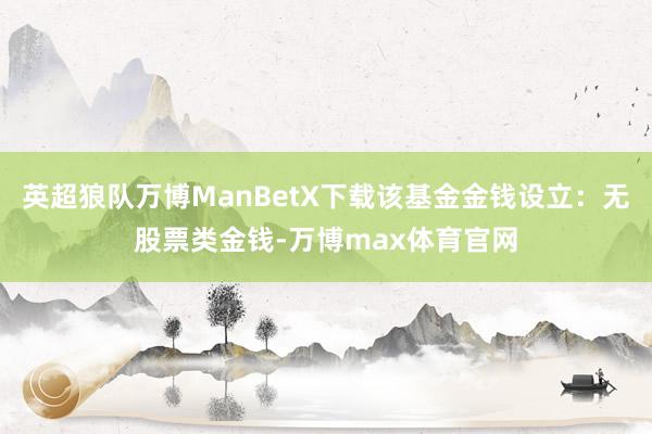 英超狼队万博ManBetX下载该基金金钱设立：无股票类金钱-万博max体育官网