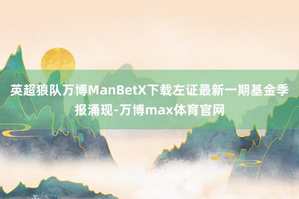 英超狼队万博ManBetX下载左证最新一期基金季报涌现-万博max体育官网